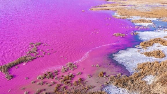 Salt lake in China turns bright pink