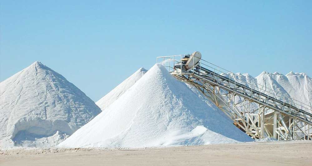 «Guwlyduz» kärhanasy Owganystana tehniki duz eksport edýär