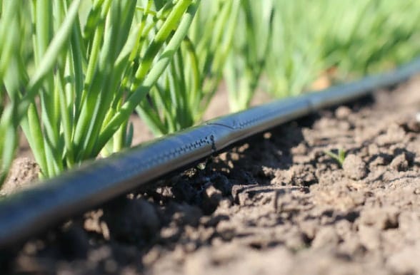 В Туркменистане налаживается производство систем капельного орошения