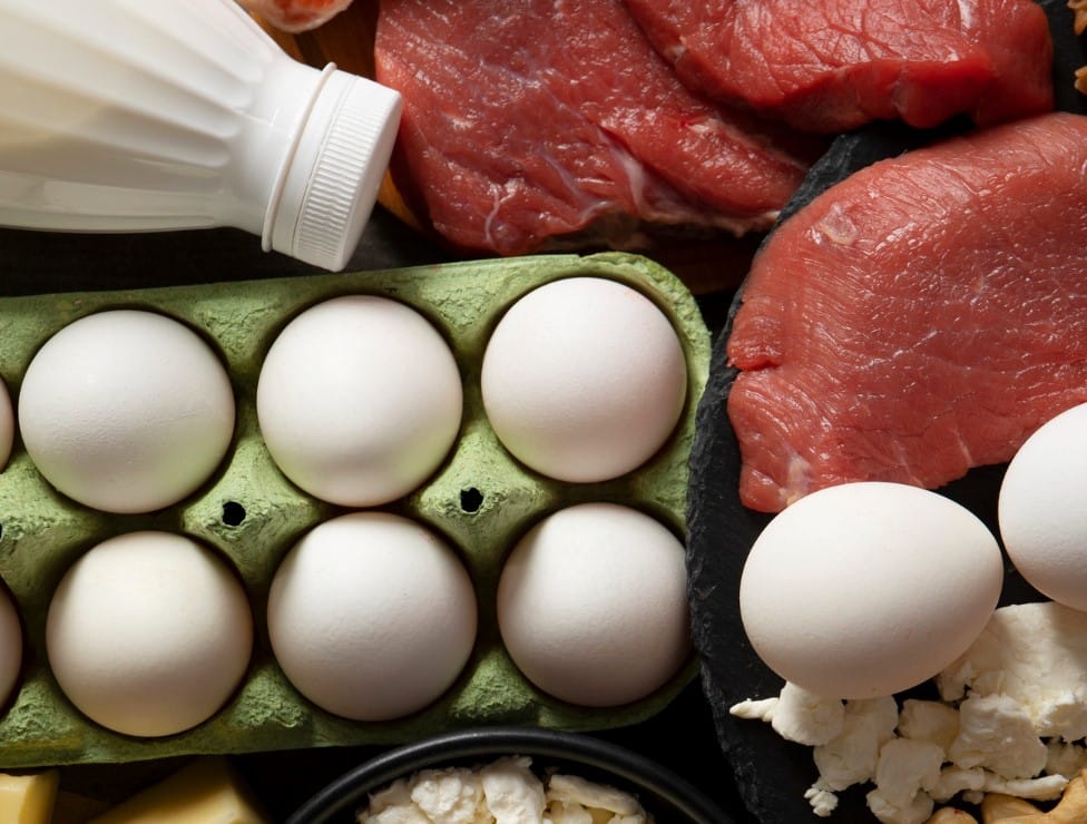 Lebapda oba hojalyk önümleriniň öndürilişi artýar