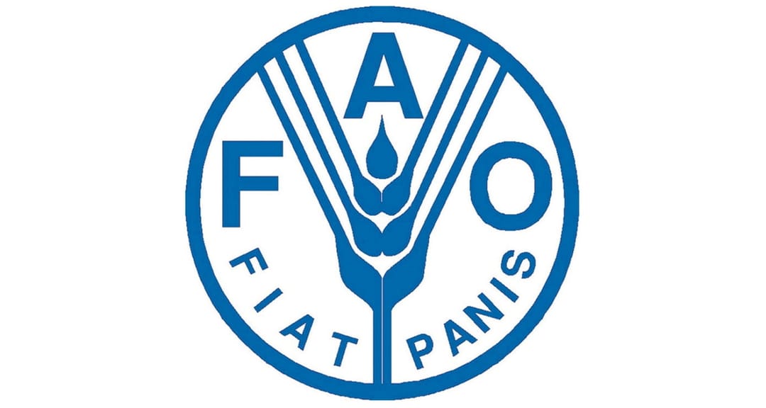 Turkmenistan strengthens international cooperation in the field of agriculture