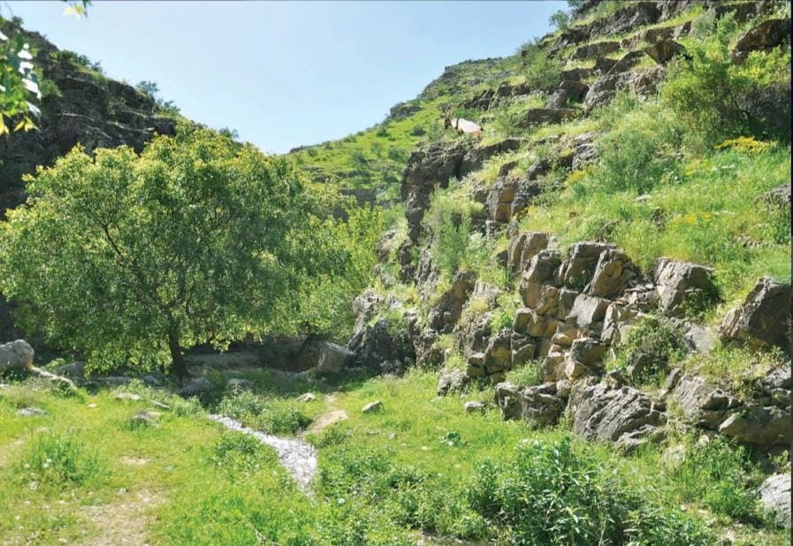 Убирать за собой на природе – почему это так важно?