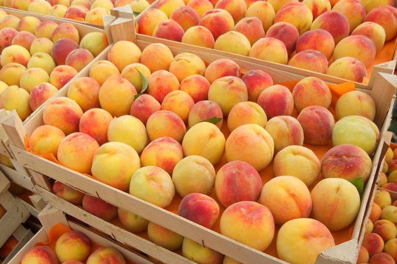 Узбекистан экспортировал в Туркменистан 471 тонну персиков