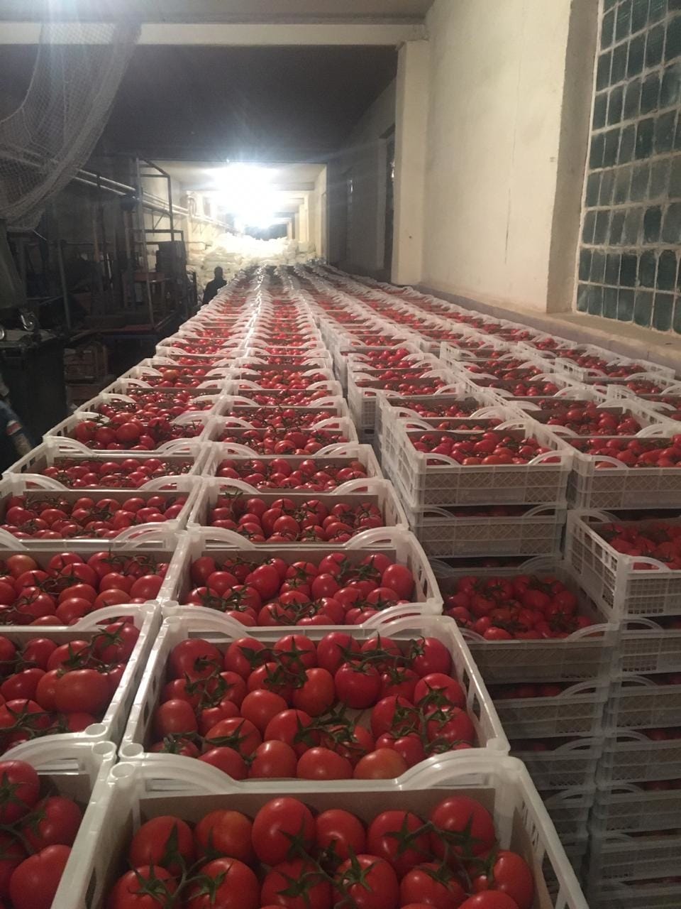 В Астрахани осуществили разгрузку и адресное распределение гуманитарного груза из Туркменистана 