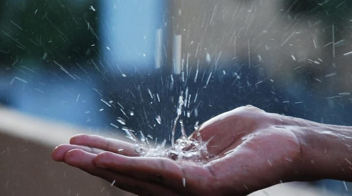 Alymlar ýagyş suwunyň zäherlidigini anykladylar