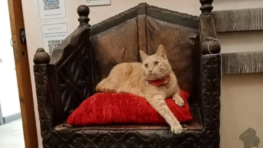  Perseý atly pişik Wyborg köşgüniň resmi işgäri boldy