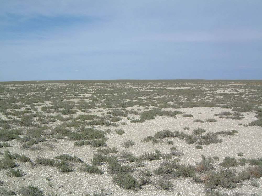 Специалисты Туркменистана прошли обучение современным методам разработки карт засоленных почв