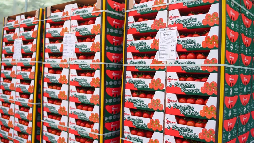 Производители томатов из Туркменистана  вышли  со своей продукцией на рынки СНГ