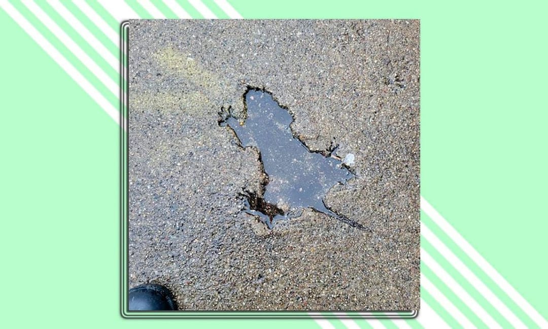 Известная в Чикаго дыра в асфальте в форме белки была заделана