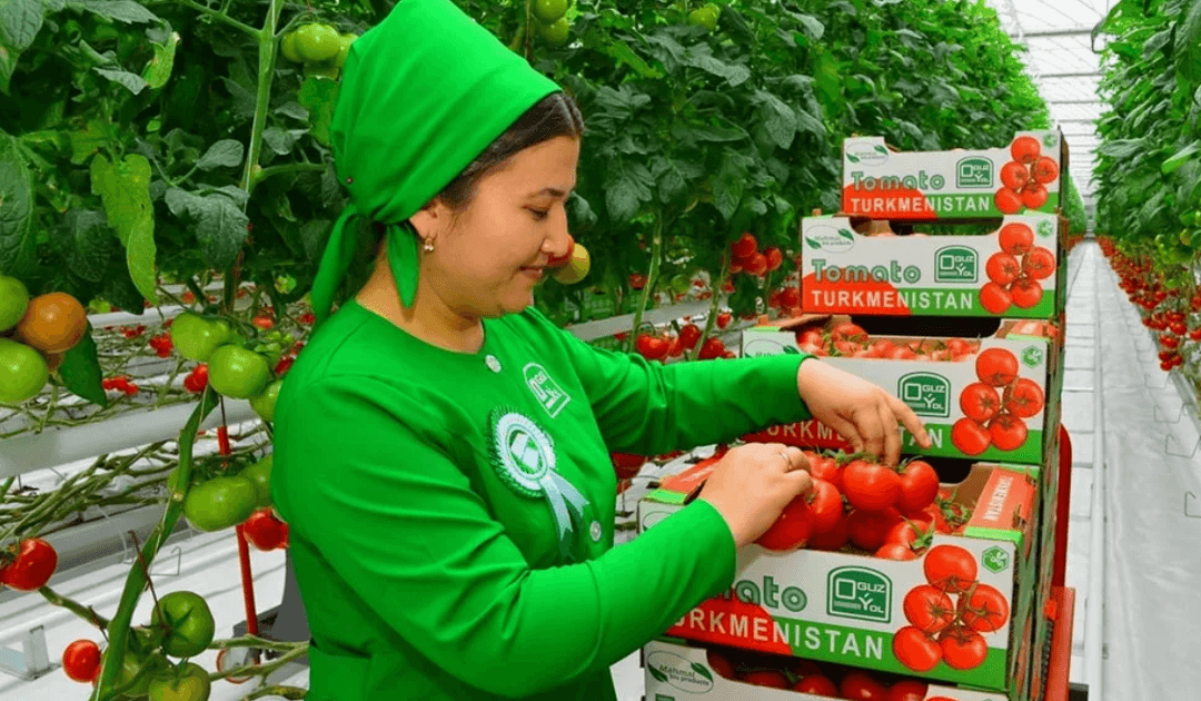 К новогоднему столу астраханцев Туркменистан отправил 18 тонн томатов