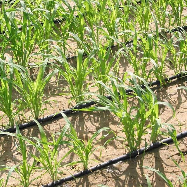 Türkmen Senagat plant a wide range of manufacturers of plastic pipe products