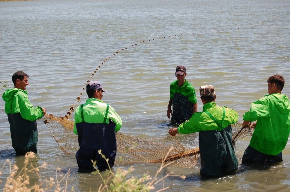 Обмен опытом в практике аквакультуры прошел для туркменских специалистов 