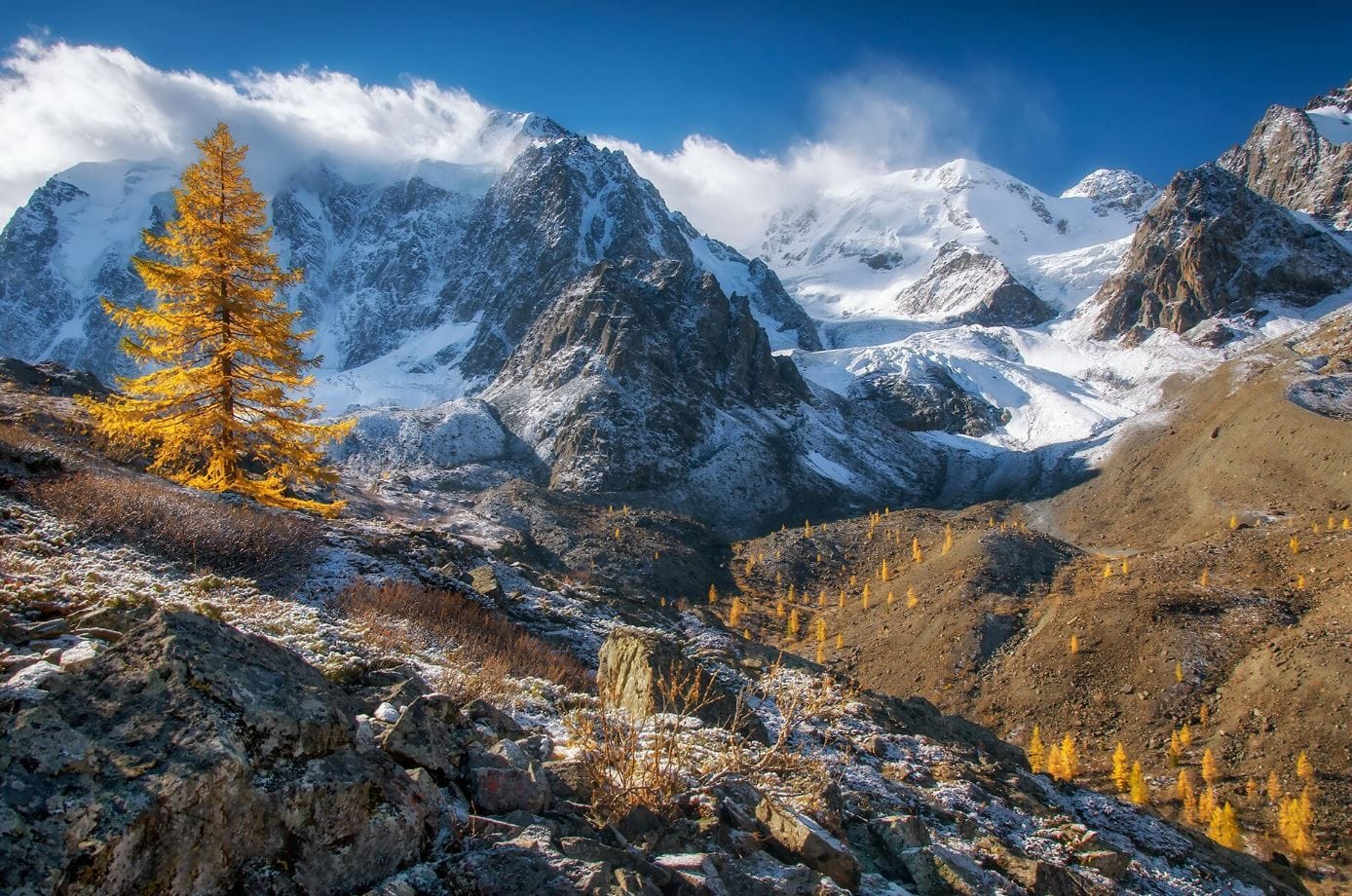 Turkmenistan took part in the international internship of the Russian Geological Society in Altay