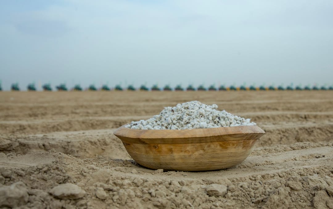 В Туркменистане приступили к севу хлопчатника