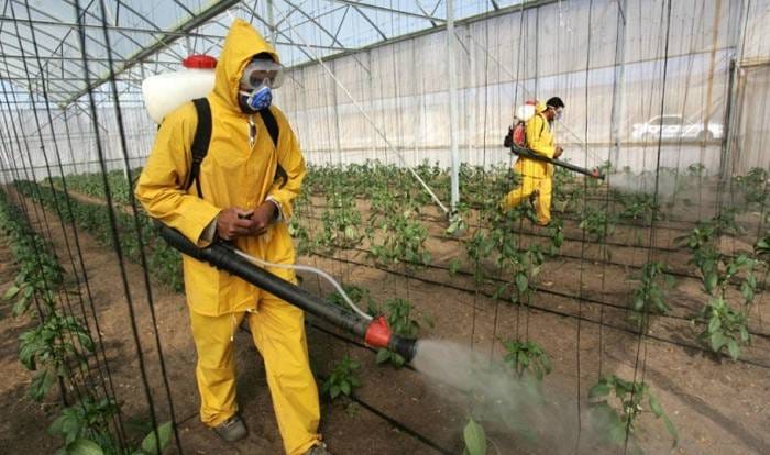 В Туркменистане закупят химсредства для борьбы с сельхозвредителями