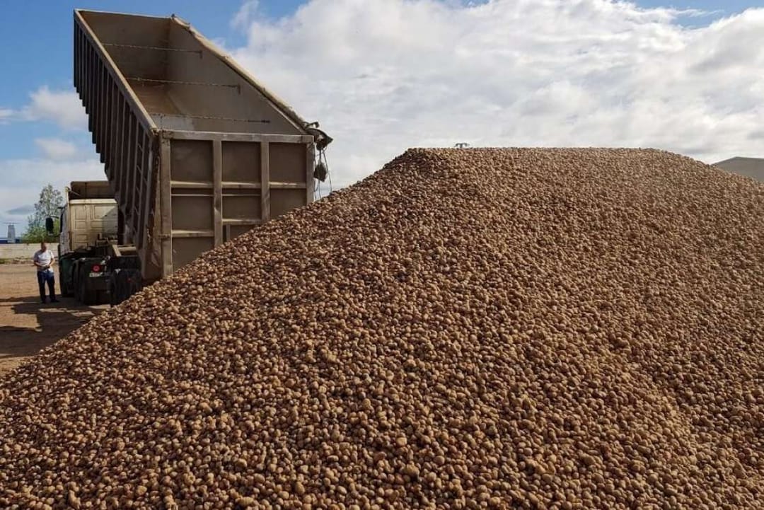 1 million manatlykdan gowrak keramzit öndürildi 