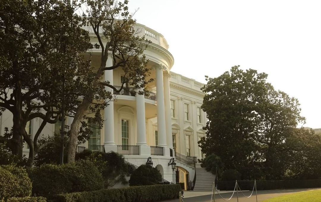 Trump announces plans to cut down magnolia tree planted 200 years ago near White House