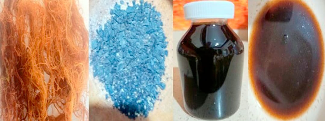 В Туркменистане запатентовали технологию получения йода и полисахаридов из водорослей