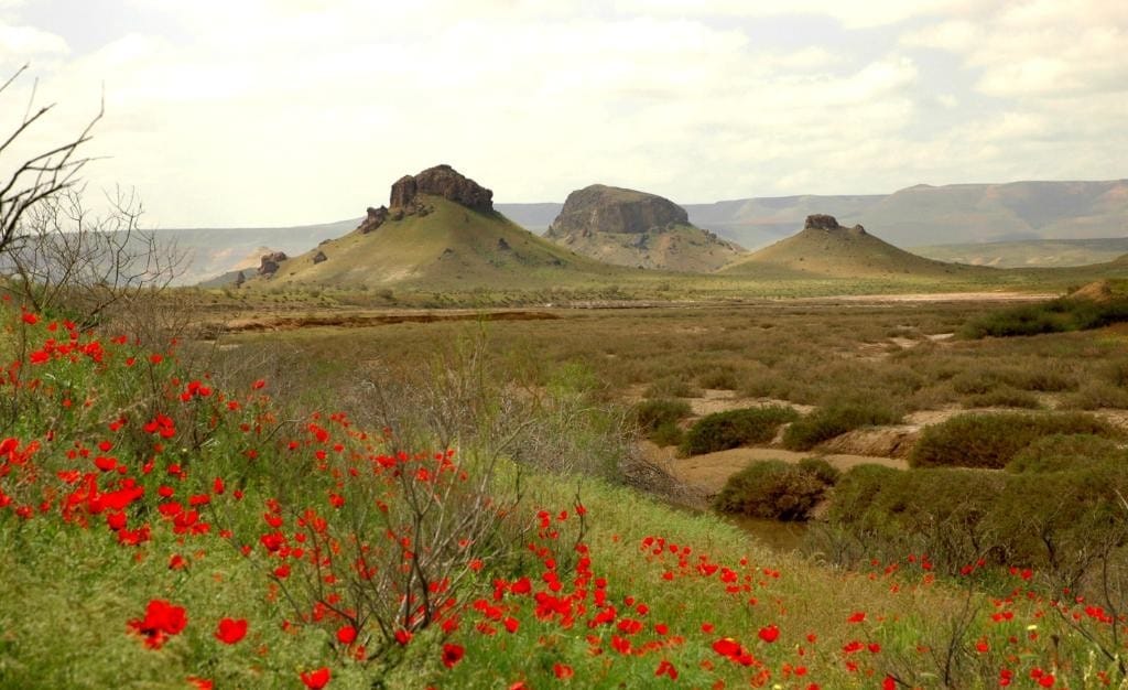 Environmental activity is widely deployed in Turkmenistan