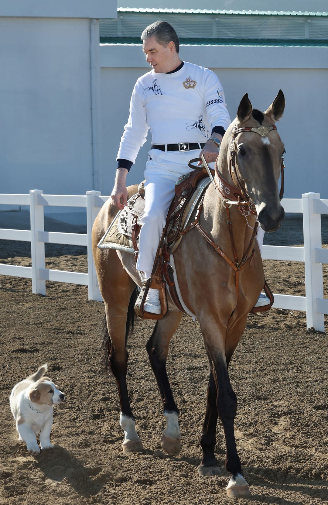 Президенту Туркменистана подарили щенка от ассоциации «Туркменские алабаи»