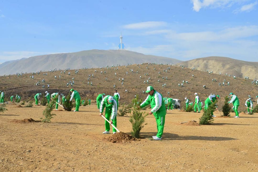2025-nji ýylda Türkmenistanda 3 million düýp agaç nahallary ekiler