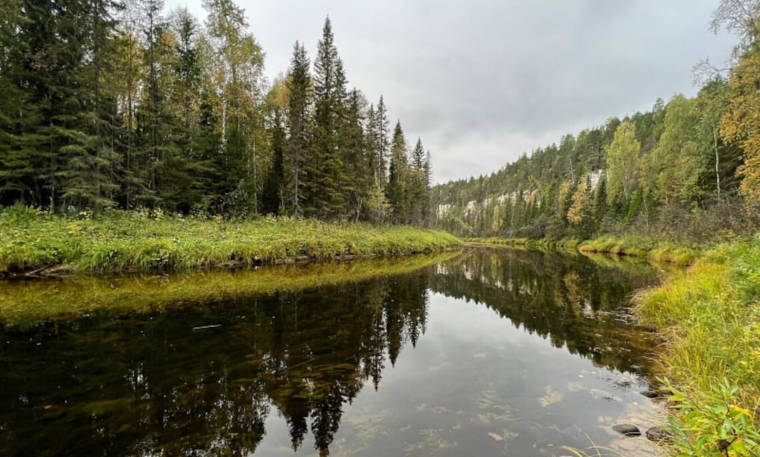 Students from Turkmenistan participate in the international eco-school in the Arkhangelsk region