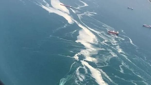 Türkiýäniň şypahanalaryndaky deňiz nemi jahankeşdelik möwsümine howp salýar