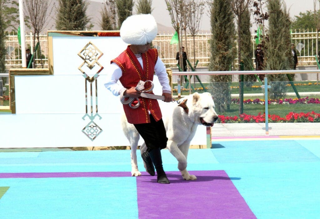 В Туркменистане принят Закон «О собаководстве и кинологической деятельности»