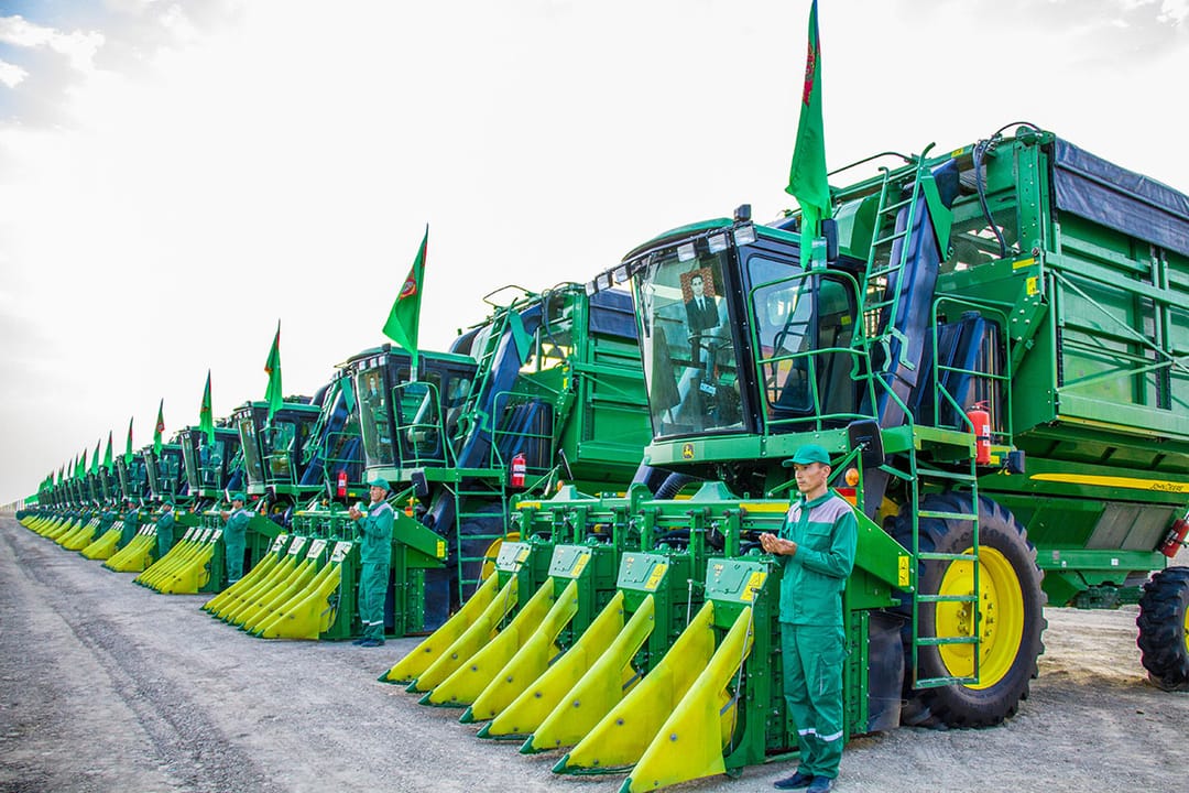 Türkmenistanda pagta ýygymyna girişildi