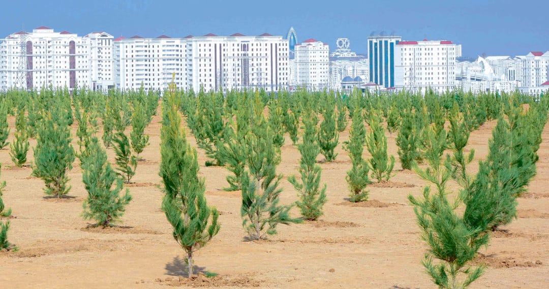 Ashgabat is noted for its contribution to the international initiative “Trees in Cities”
