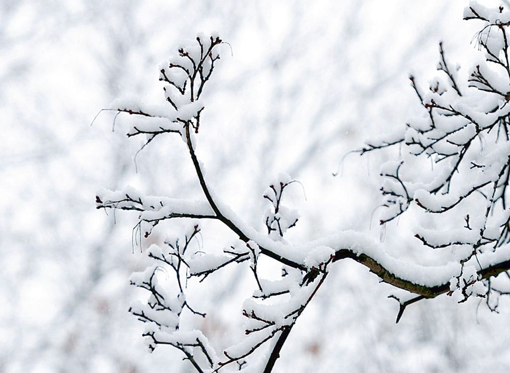 Türkmenleriň milli senenamasy boýunça şu gün ahyrky garagyş döwri başlanýar