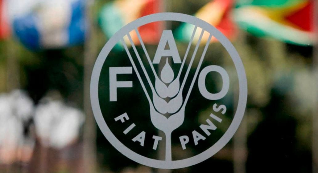 В Ашхабаде участники проекта FAO рассмотрели актуальные вопросы управления природными ресурсами 