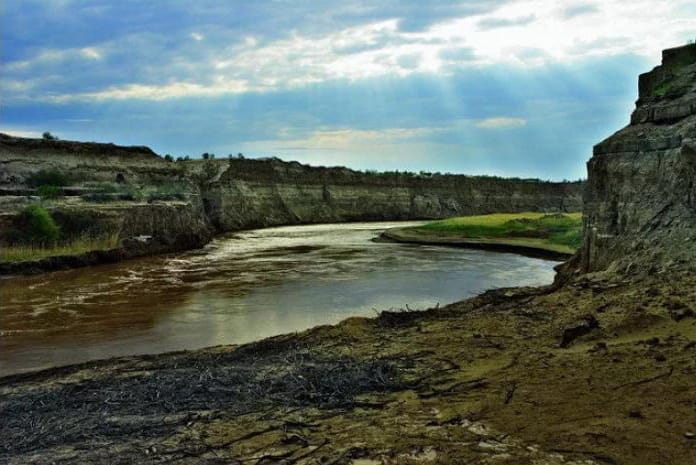 Туркменские биологи провели ряд исследований в Капланкырском заповеднике