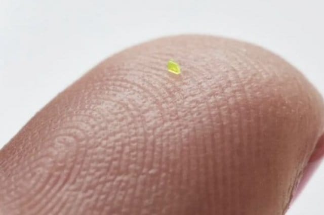 Auksionda duz dänejiginden hem kiçi göwrümli zenan torbajygy satyldy