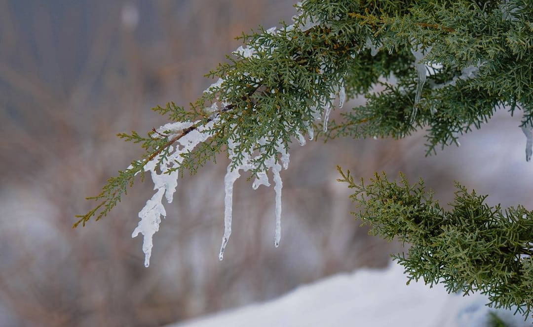 В ряде районов Туркменистана побиты рекорды минусовой температуры