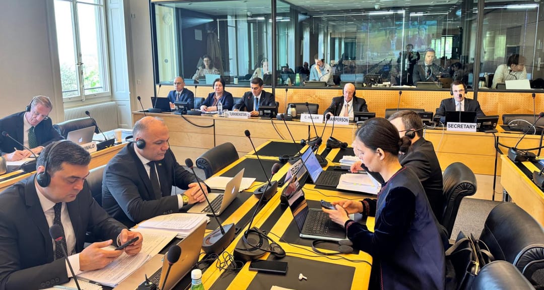 Туркменистан принял участие в 82-й сессии Комитета ООН против пыток