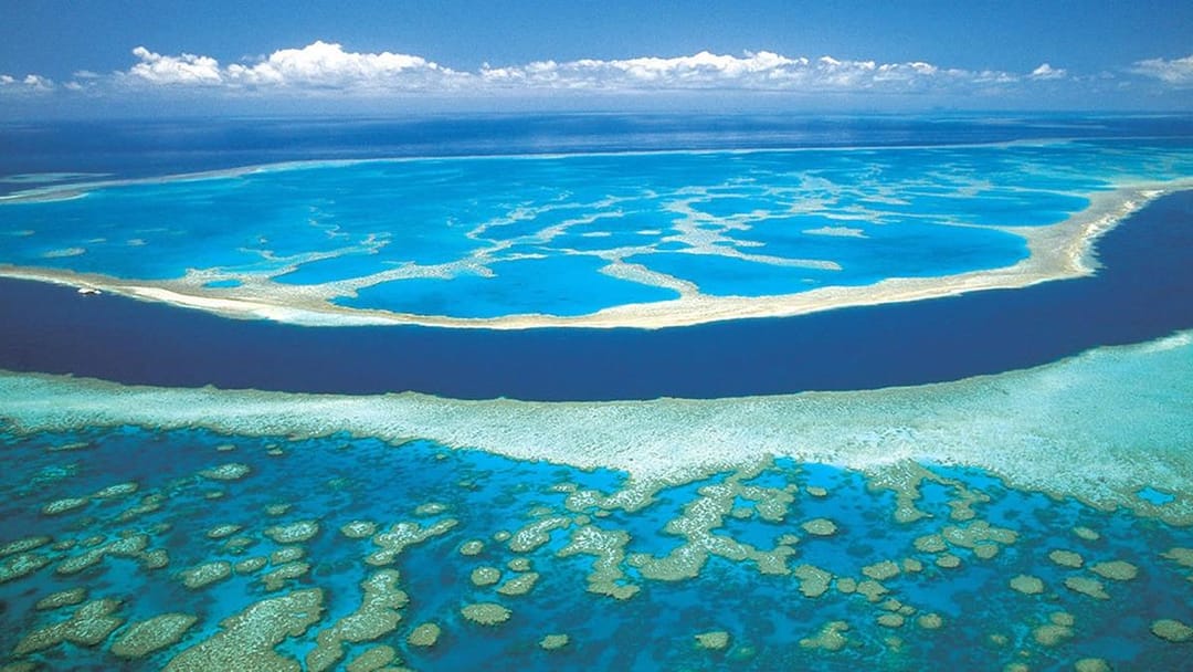 Avustralya açıklarında bulunan ve dünyanın en büyük mercan sistemi olan Büyük Set Resifi beyazlıyor