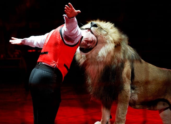 Шоу "Наедине с царями зверей"