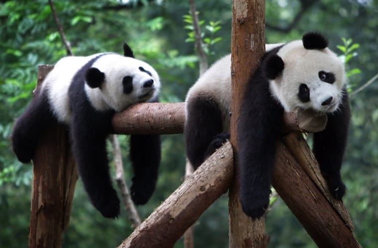 5 возможных причин нашей усталости в понедельник