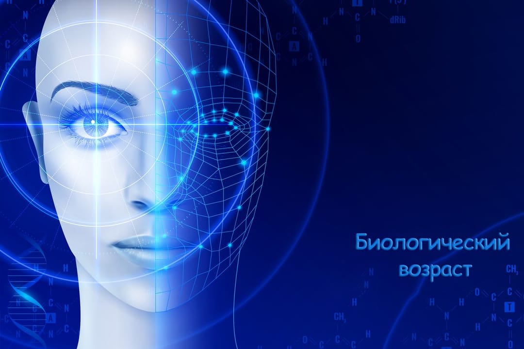  Биологический возраст человека: из чего он складывается и как определяется