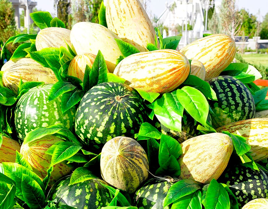 Арбузы и дыни: как их правильно выбирать