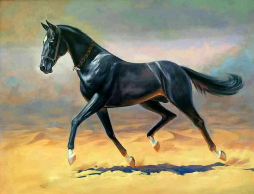 Мир животных в произведении Языджы оглу Ахмет Биджан «Аджайибиль-Махлукат»