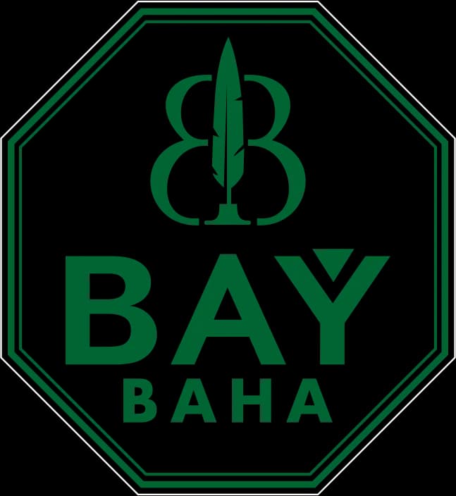 950 manat bir we goşa mostly ýük awto baha kesýäris