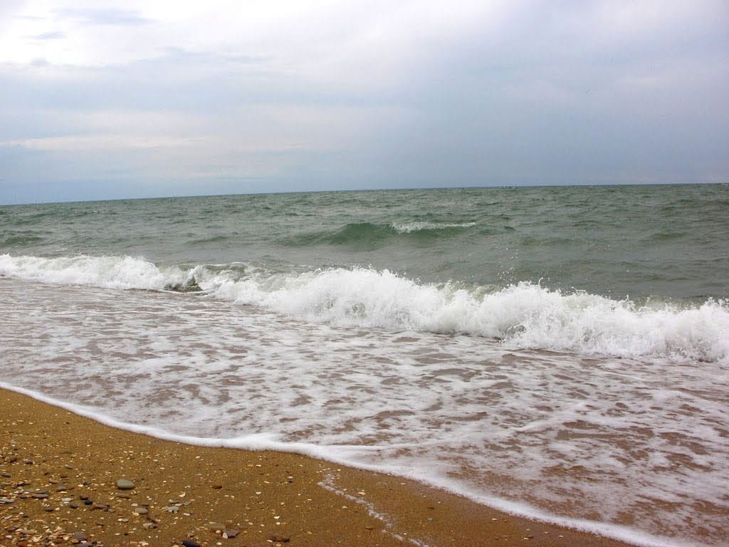 Ekologiýa tehnologiýalary Türkmenistanyň ýangyç toplumynyň ileri tutulýan ugrudyr