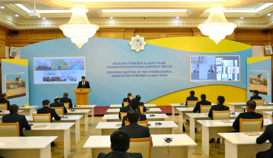 Ассоциация «Туркменские алабаи» обрела международный статус
