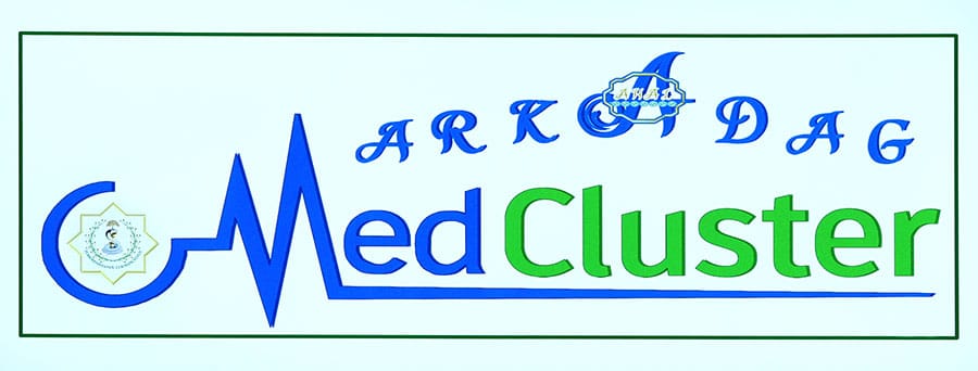 В Туркменистане приступают к строительству первой очереди медицинского кластера города Аркадаг