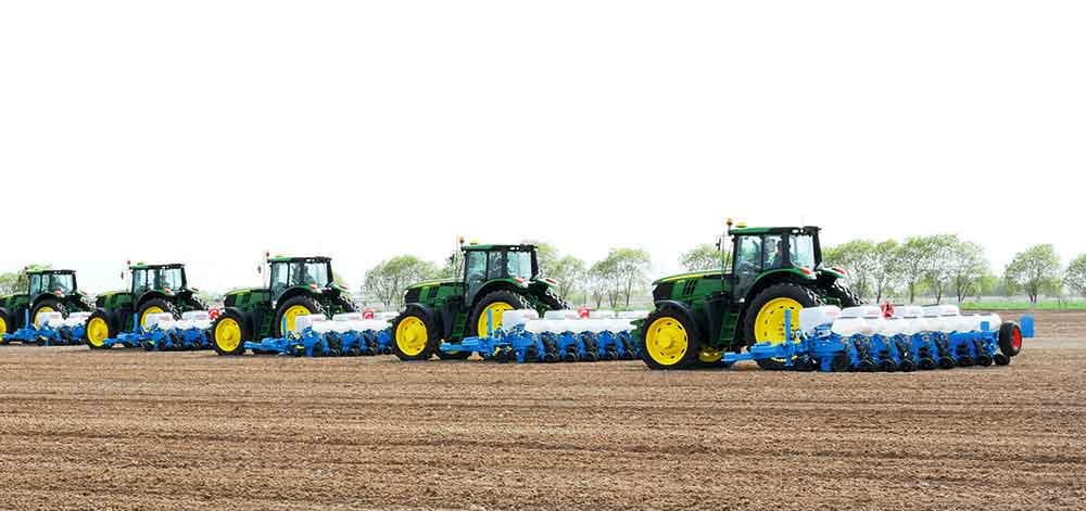 Türkmenistanda gowaçanyň bäş sany täze sorty ekilýär