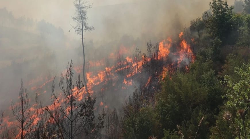 Türkiýedäki tokaý ýangynlarynda 10 adam heläk boldy