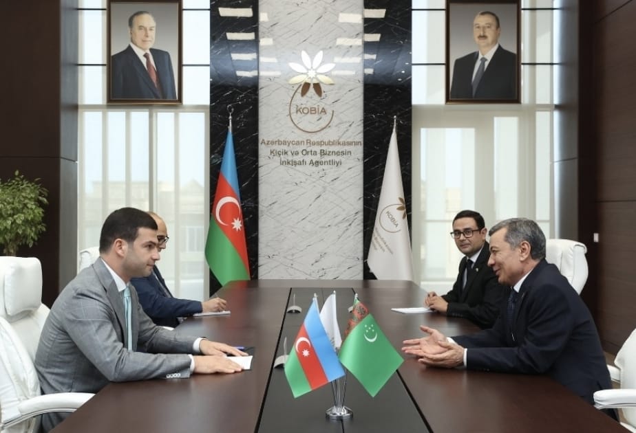 Turkmenistan and Azerbaijan discussed the development of business cooperation