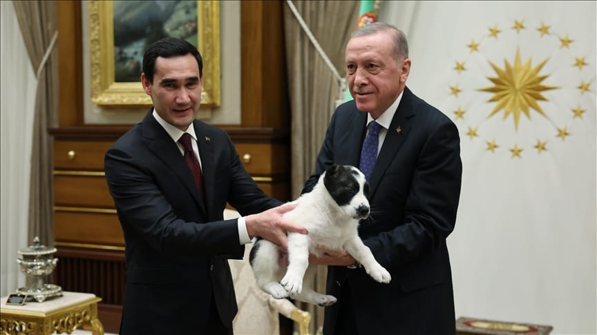 Serdar Berdimuhamedov and Recep Tayyip Erdogan gave each other puppies of national dog breeds
